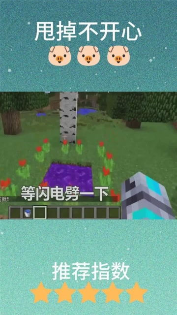 我的世界,Minecraft,四大传送门,最后一个可能许多人没见过 