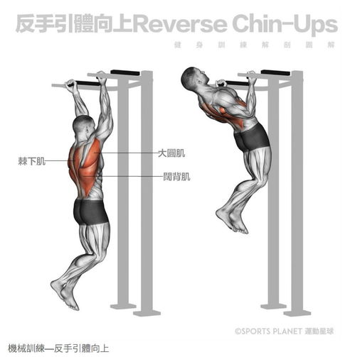 不是我吹记住这个后,你所有的健身动作都不会错了