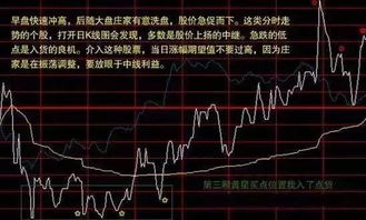 终于有人发声中国股市背后真正的庄家究竟是谁不想穷下去务必看懂