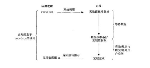 引用标注：查重过程中的重要考量