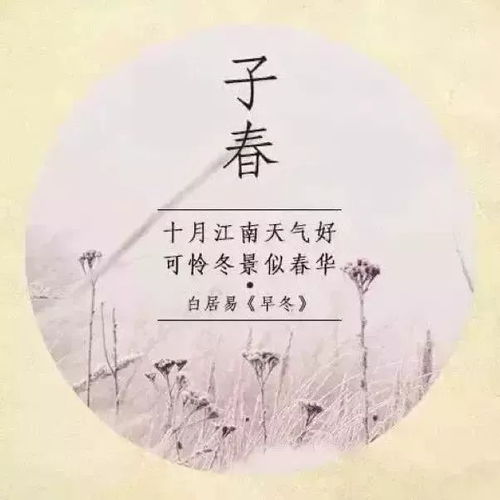 带月字的霸气名字