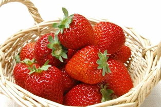 草莓可以放冰箱吗 草莓放冰箱里好不好