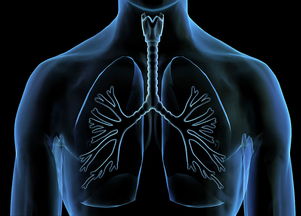 肺癌的五个标志一定要小心,一拖再拖很容易进展成晚期 