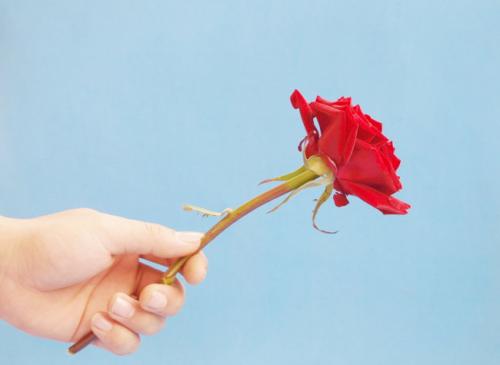 手握玫瑰的唯美图片图片