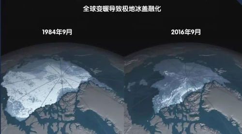 2025年2月14日 第11页