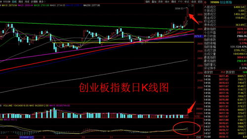 股票进入主升浪后能涨百分之多少