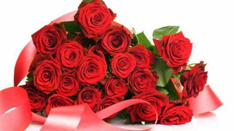 男生送女生6朵玫瑰花 是代表什么意思 拜托各位大神 