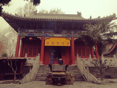 西安最古老的一座寺院,唐代三大译经场之一,佛教密宗祖庭