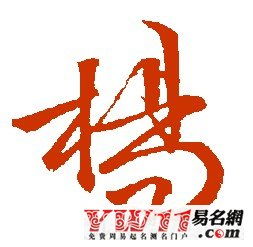 杨氏家族名字大全 