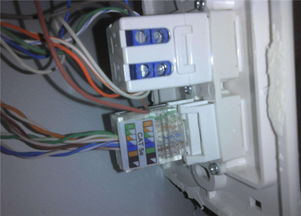网线插座接法介绍 墙壁网线插座怎么接
