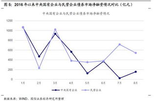 投资者投入的资本金是否属于企业的资产