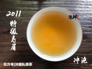 为何茶友认为寿眉是白茶当中的劣质茶 