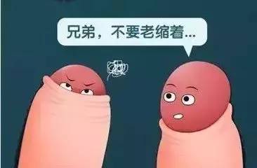 有趣,医学博士正在讲一个关于 小鸡鸡 的故事......