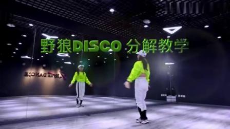 DISCO – 