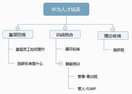 华为公司管理者培养路径图