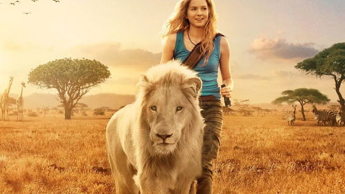 耗时3年真实拍摄,女孩把狮子当宠物,长大后没人敢惹 电影HOT大赛 