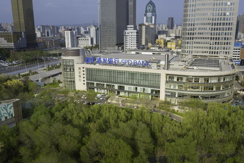 哈尔滨银行搭建对俄结算服务中心 助力哈尔滨新区及黑龙江自贸试验区建设