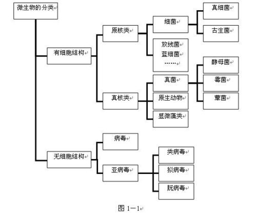 动物学分类有几个界？