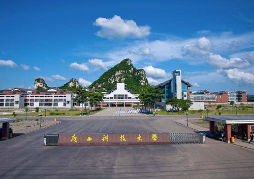 柳州市2030年高校将达15所,形成与地位匹配的高等教育规模和体系