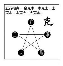 一张图轻松看懂八字命理 阴阳五行 