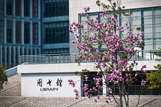 湖北地质大学自考,中国地质大学(武汉)自学考试本科层次可以申请学士学位证书吗？(图3)