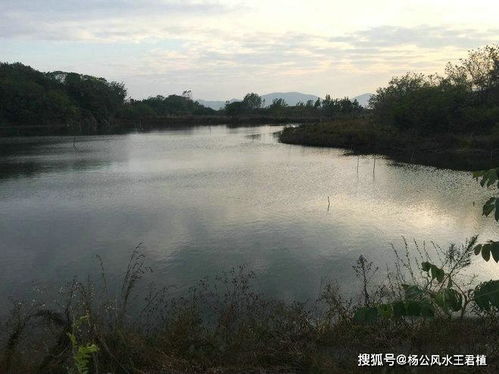 坟墓风水如何旺丁旺财,风水培训湖北黄石,探索李氏蛇形墓地风水富贵三代人