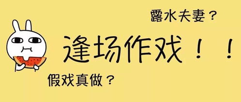 曲终人不散,请永远记住那个花瓣飘来的地方