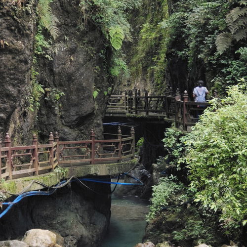 旅游攻略分享 峨眉山半山一日游 