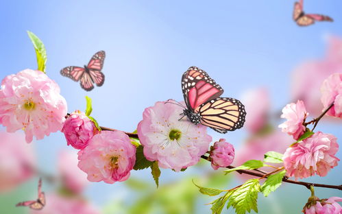 田园风光春天关于桃花的诗句