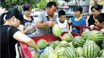 日本女孩在中国买西瓜,却被瓜农 一口拒绝 ,网友 是我也不卖