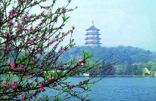 关于描写杭州西湖美景的诗句有哪些