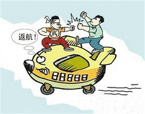 又见中国乘客在飞机上打架