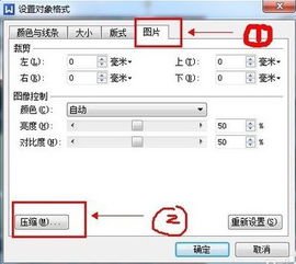 WPS版word文件里的图片一压缩肿么就模糊不清了