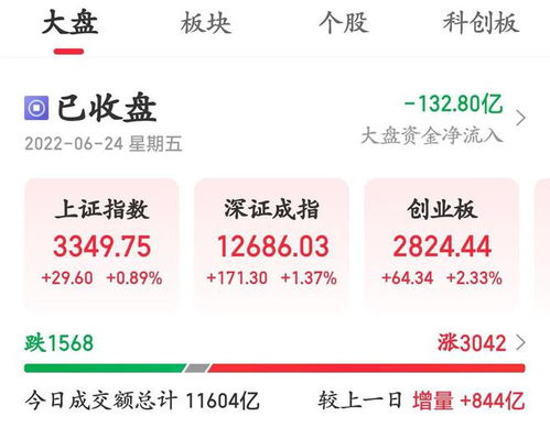 同花顺十大流通股东新进是什么意思