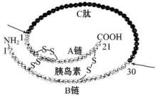 不能解决器官移植中的排斥问题的做法是 A.同卵双胞胎的基因组一样.器官移植易成活B.抑制T细胞活性.使器官移植的成活率明显提高C.受体患有免疫缺乏症.植入外来骨髓 