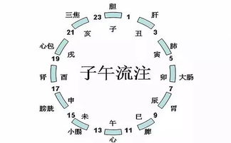 最佳艾灸顺序 时间,从年 月到日,说个清楚