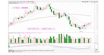 汇正财经：如何炒股，应该如何起步？