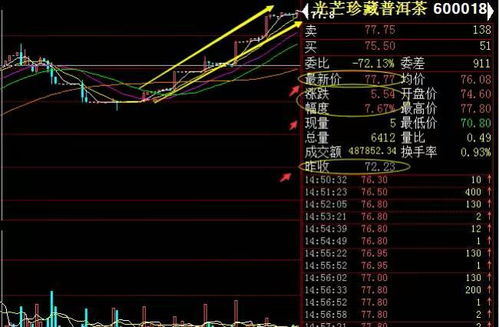 花都泯山普洱这支股票好吗？