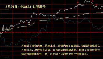 分时图上显示的买卖股数都是一样的数 什么意思