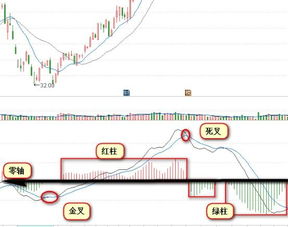 MACD 指标纯化如何办?