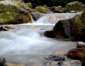 找条沟沟耍野水,在瀑布底下冲淋浴,你们不要来和我打堆堆