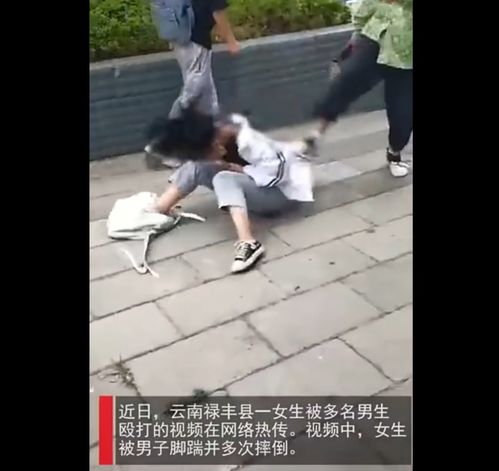 云南一女生遭多名男子围殴脚踹 打人者到案接受调查 纪委介入