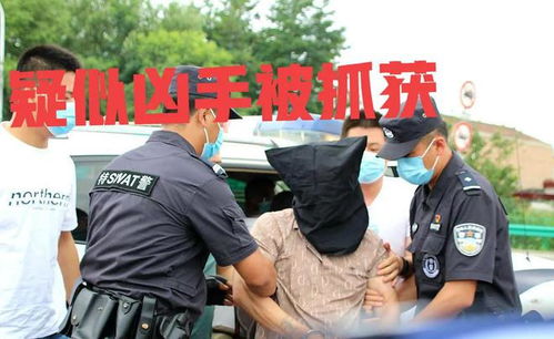 东北最近发生什么特大刑事案