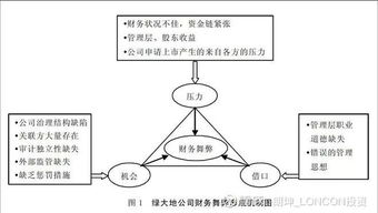 如何分析上市公司有财务舞弊嫌疑