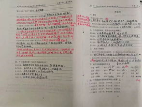 少年辛苦终身事,莫向光阴惰寸功 记石家庄一中西山学校实验初一2019暑假优秀作业展