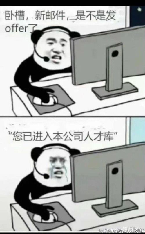 为什么面试聊得很好,转头却挂了