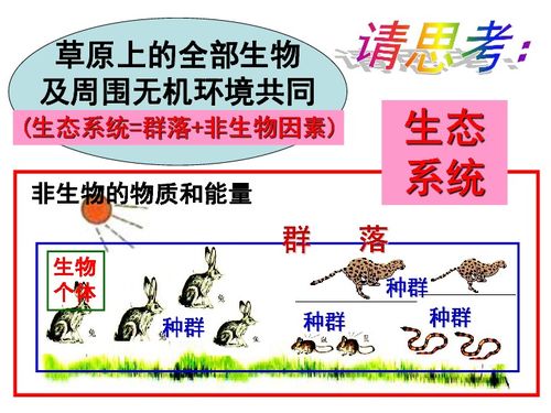 保护生态系统平衡建议十条