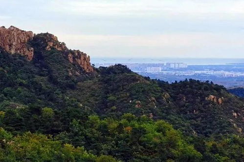 秦皇岛市抚宁旅游景区都有哪(秦皇岛旅游景点有哪些)