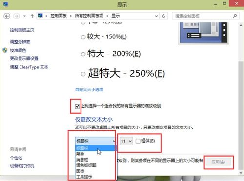 win10软件字体太小怎么调