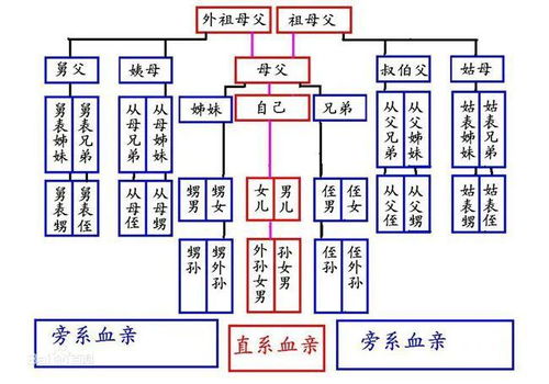 宣威一亲表兄妹结婚10年,如今想离婚,结果...